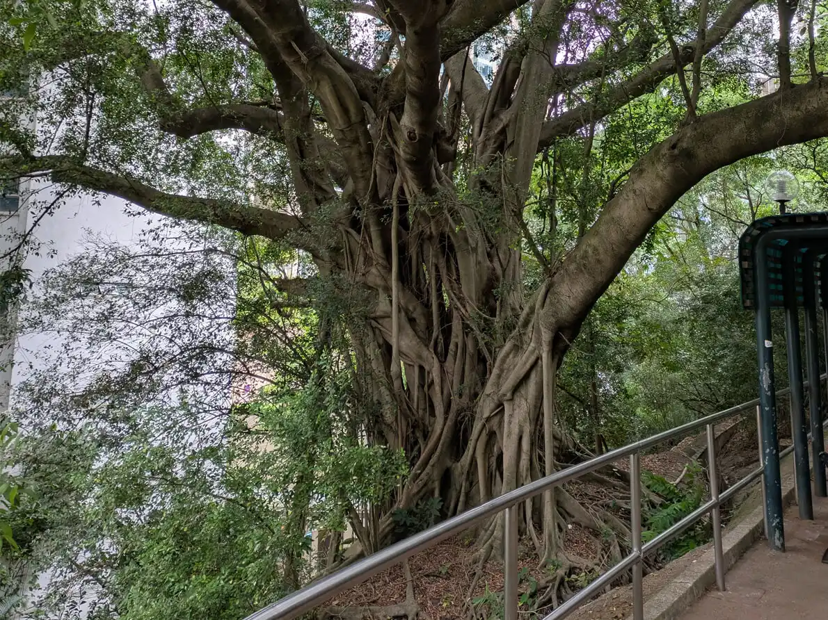 Grundfos HK Image 17